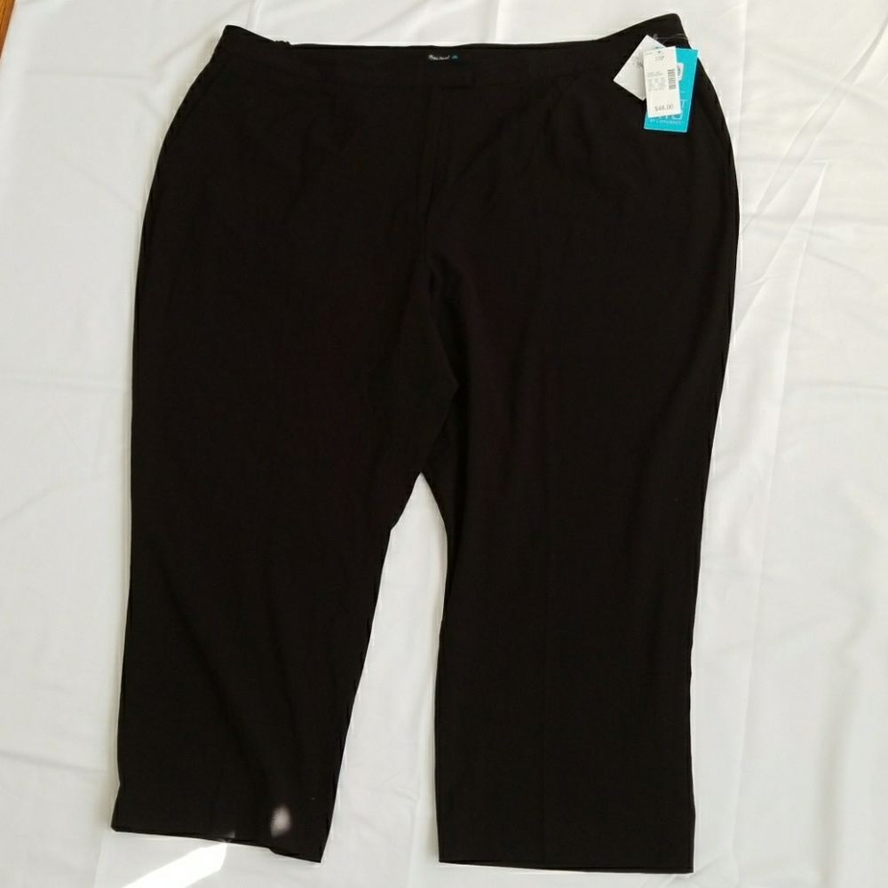 Maggie Barnes Catherine's Right Fit Pants sz 10